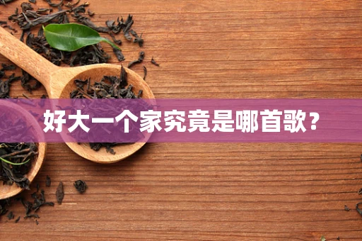 好大一个家究竟是哪首歌？