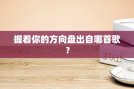 握着你的方向盘出自哪首歌？
