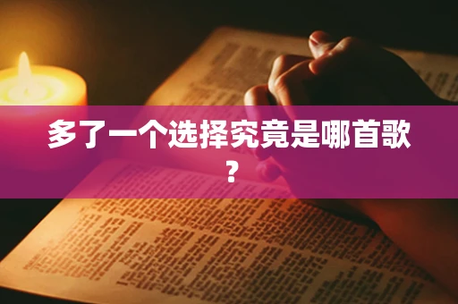 多了一个选择究竟是哪首歌？