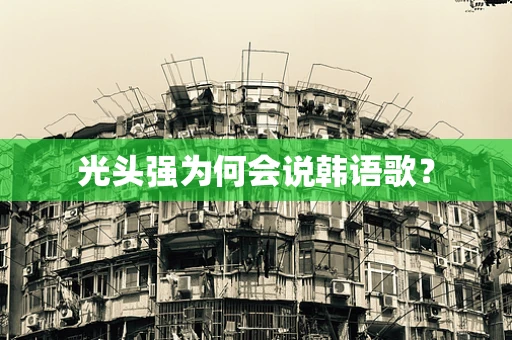 光头强为何会说韩语歌？