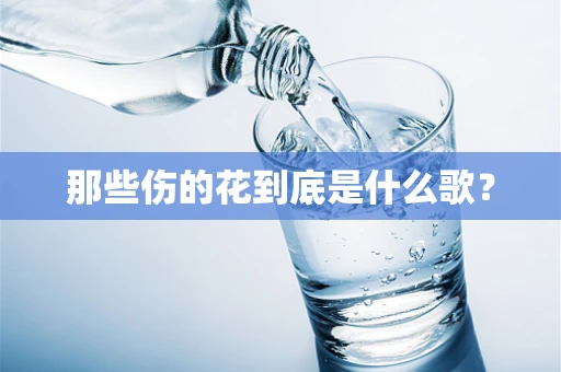 那些伤的花到底是什么歌？