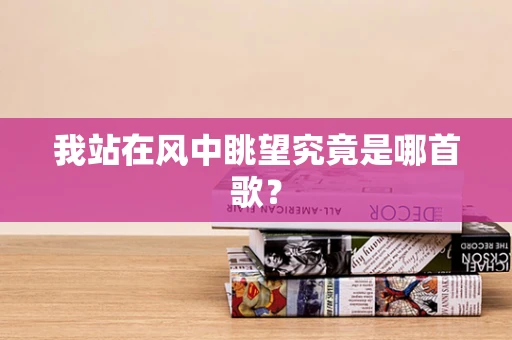 我站在风中眺望究竟是哪首歌？