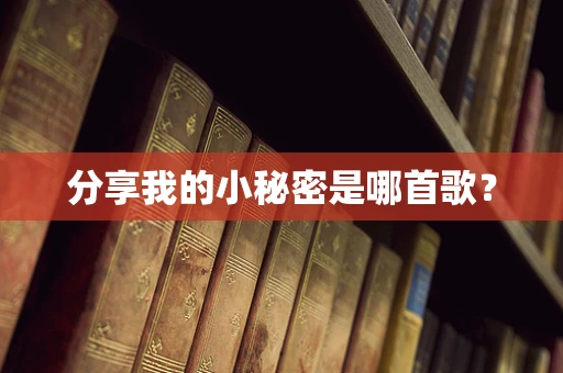 分享我的小秘密是哪首歌？