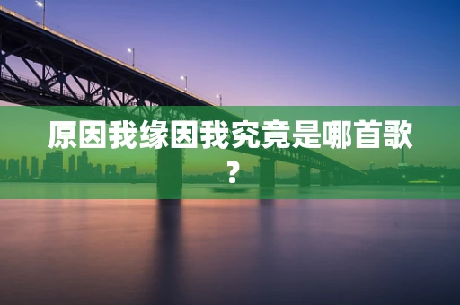原因我缘因我究竟是哪首歌？