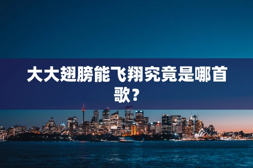 大大翅膀能飞翔究竟是哪首歌？