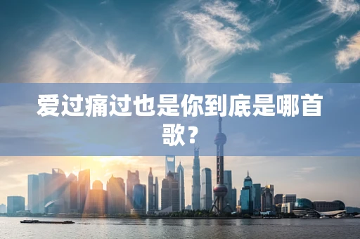 爱过痛过也是你到底是哪首歌？