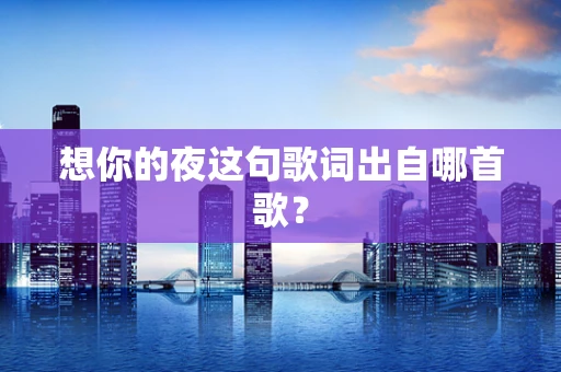 想你的夜这句歌词出自哪首歌？