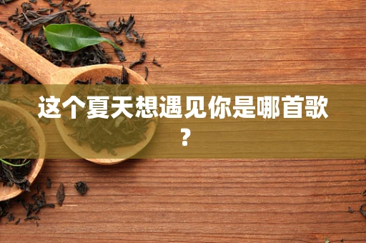 这个夏天想遇见你是哪首歌？