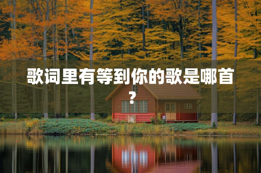 歌词里有等到你的歌是哪首？