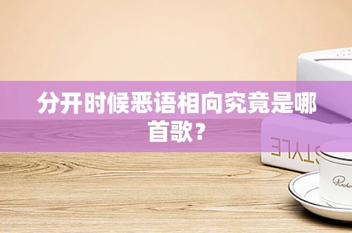分开时候恶语相向究竟是哪首歌？