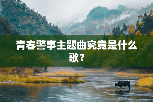 青春警事主题曲究竟是什么歌？