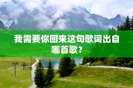 我需要你回来这句歌词出自哪首歌？