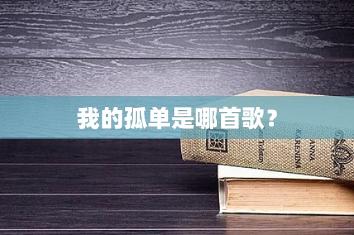 我的孤单是哪首歌？