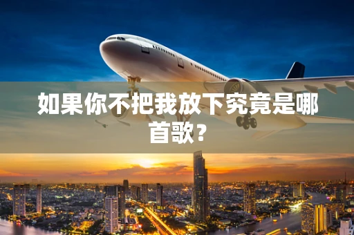 如果你不把我放下究竟是哪首歌？