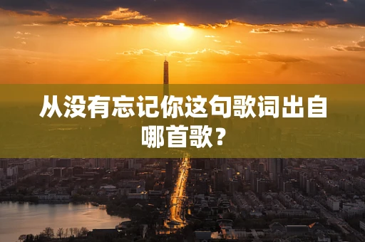 从没有忘记你这句歌词出自哪首歌？
