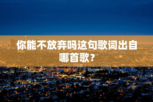 你能不放弃吗这句歌词出自哪首歌？
