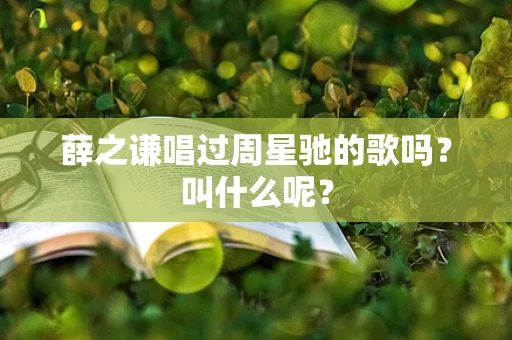 薛之谦唱过周星驰的歌吗？叫什么呢？