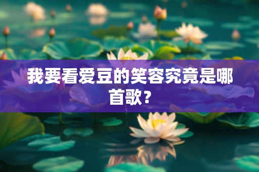 我要看爱豆的笑容究竟是哪首歌？