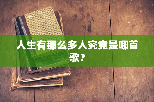 人生有那么多人究竟是哪首歌？