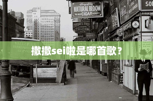 撒撒sei啦是哪首歌？