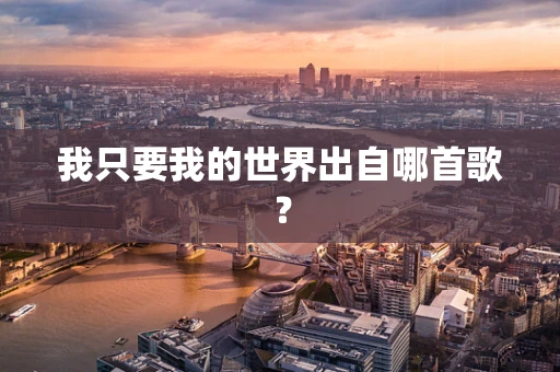我只要我的世界出自哪首歌？