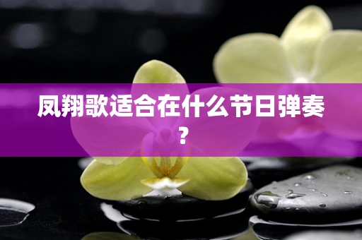 凤翔歌适合在什么节日弹奏？
