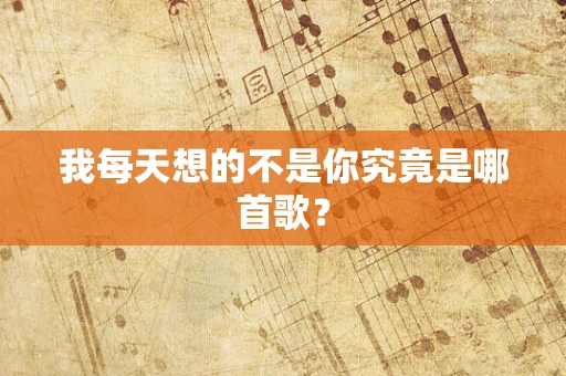 我每天想的不是你究竟是哪首歌？