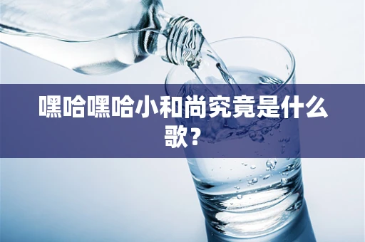 嘿哈嘿哈小和尚究竟是什么歌？