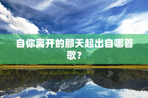 自你离开的那天起出自哪首歌？