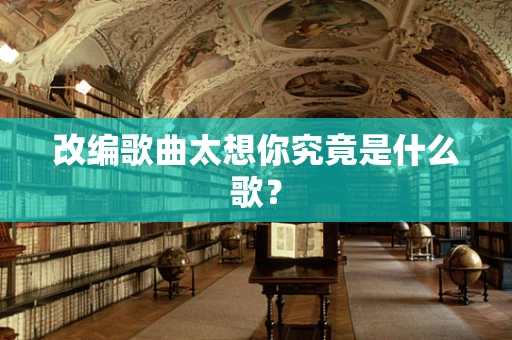 改编歌曲太想你究竟是什么歌？