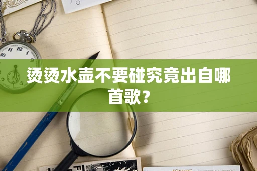 烫烫水壶不要碰究竟出自哪首歌？