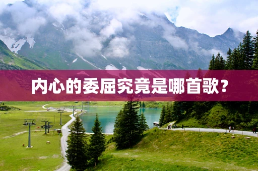 内心的委屈究竟是哪首歌？
