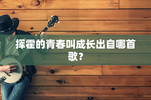 挥霍的青春叫成长出自哪首歌？