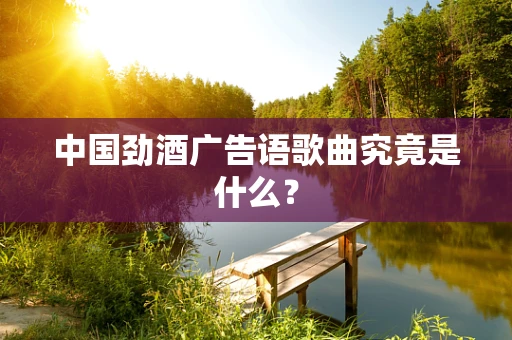 中国劲酒广告语歌曲究竟是什么？