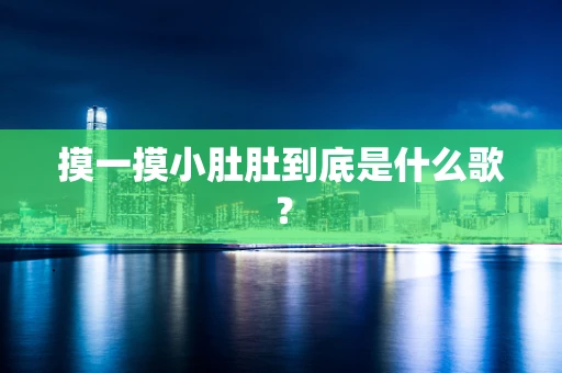 摸一摸小肚肚到底是什么歌？