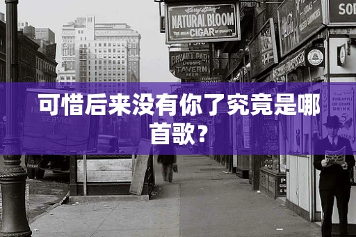 可惜后来没有你了究竟是哪首歌？