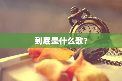 到底是什么歌？